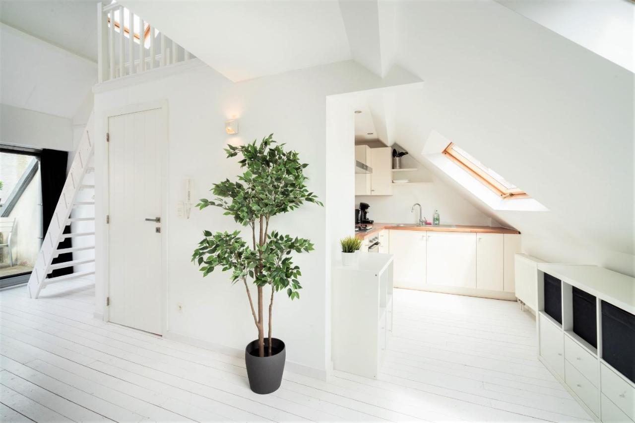 Beautiful Cozy Apartments In The Heart Of 安特卫普 外观 照片