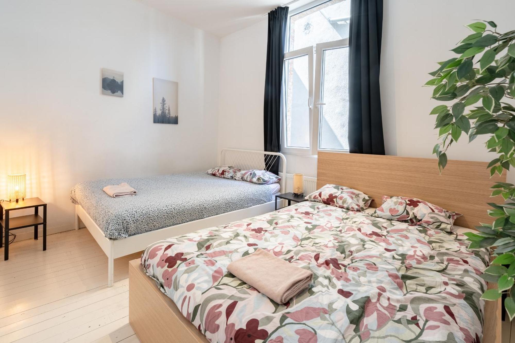 Beautiful Cozy Apartments In The Heart Of 安特卫普 外观 照片
