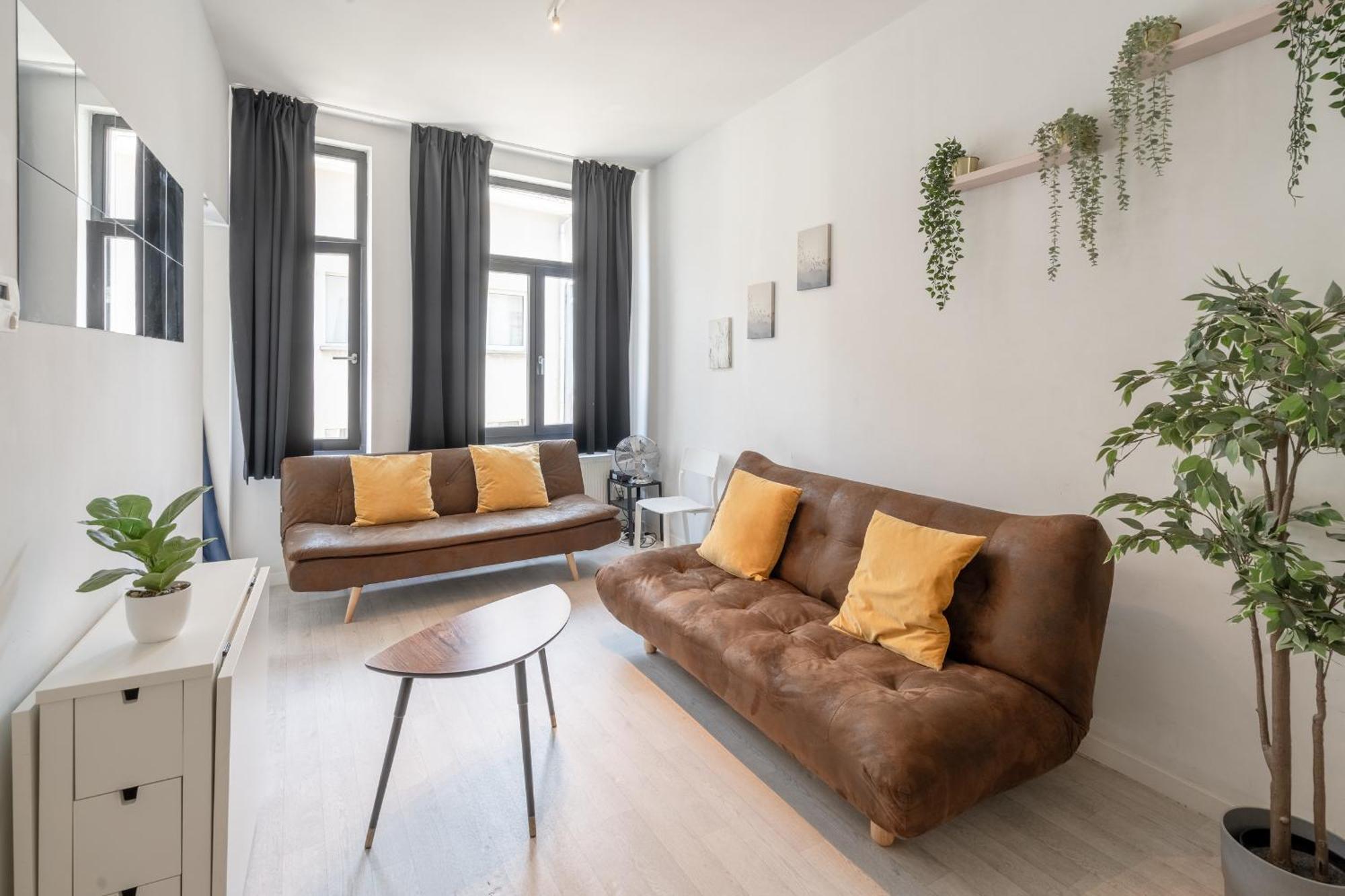 Beautiful Cozy Apartments In The Heart Of 安特卫普 外观 照片